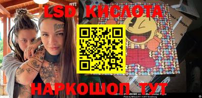 индика Ярославль