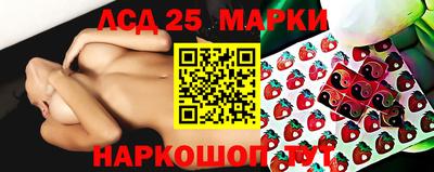 индика Ярославль