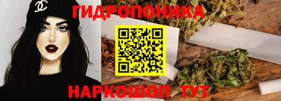 индика Ярославль