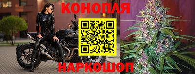 индика Ярославль