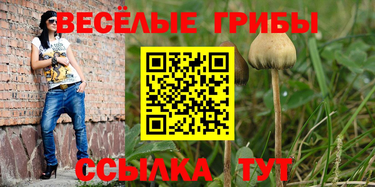 Кашира  Галлюциногенные грибы Psilocybine cubensis  Вход с VPN  Псилоцибиновые грибы ЛСД 